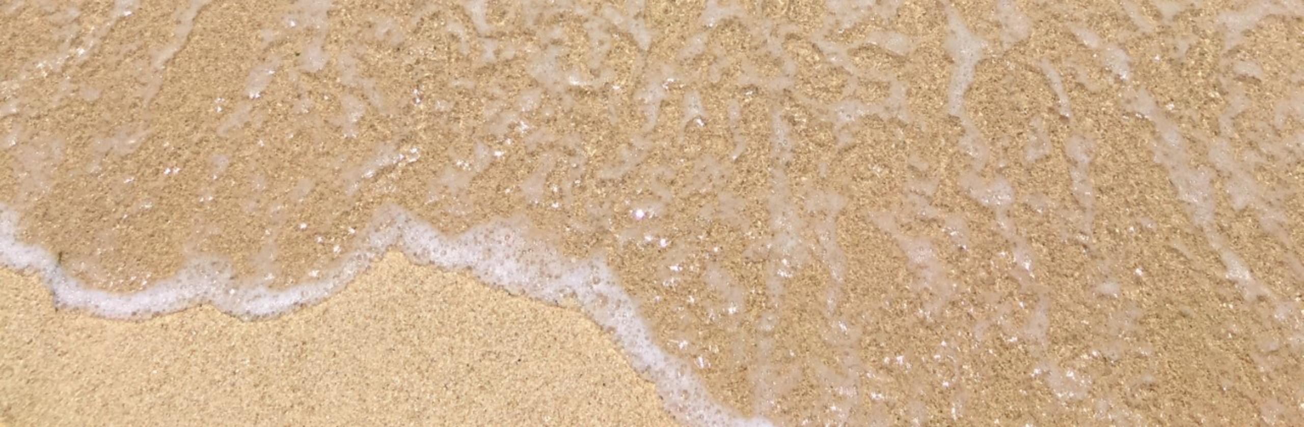 すけろくちゃんさん 心のカウンセラーへ のプロフィール ココナラ