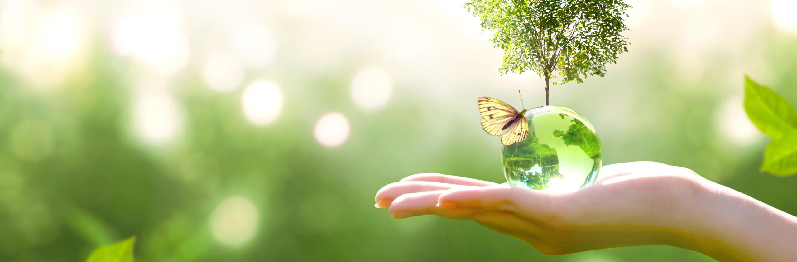 西園寺創 愛のリモート執事 ブログ一覧 Coconalaブログ