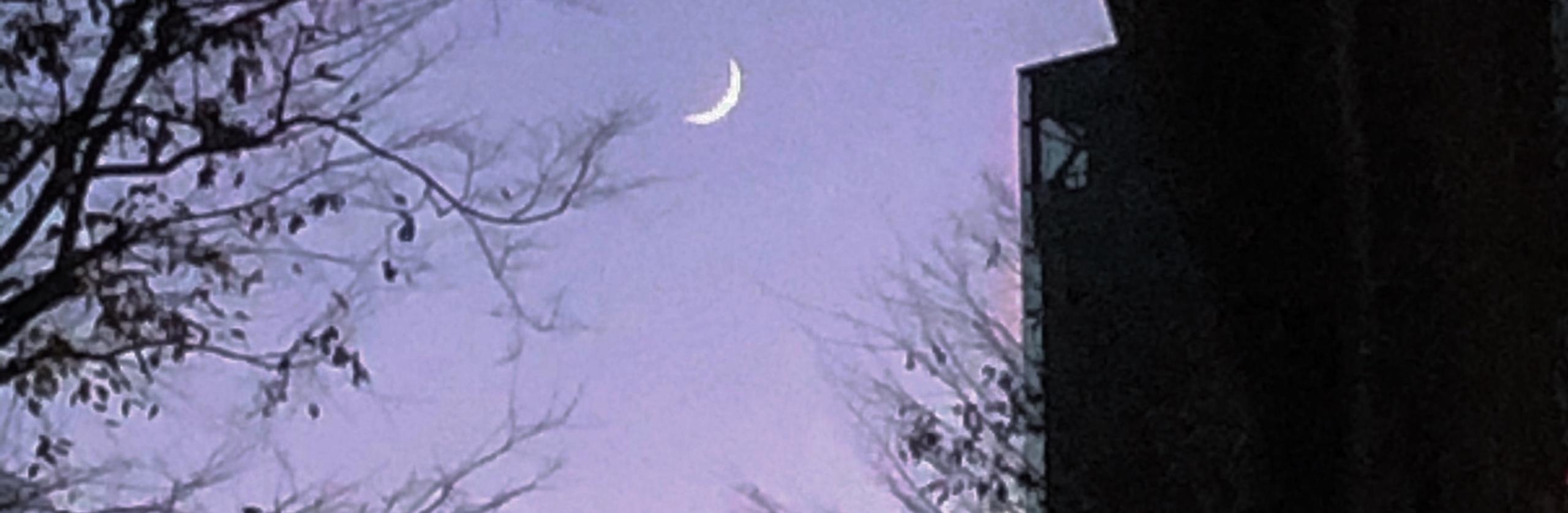 灯 月子さん スピリチュアルカウンセラー のプロフィール ココナラ