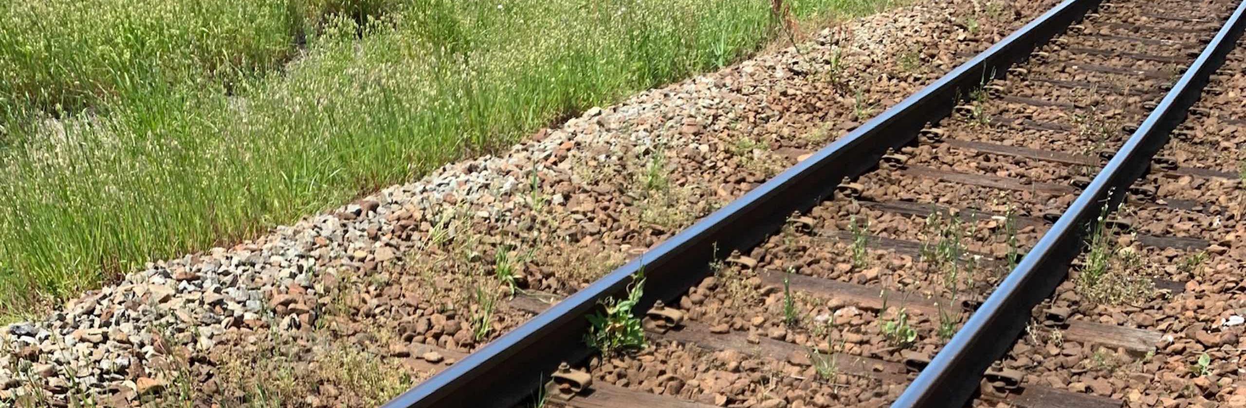 元中卒線路作業員の医大生が教えますさん 医学生 受験コンサルタント のプロフィール ココナラ