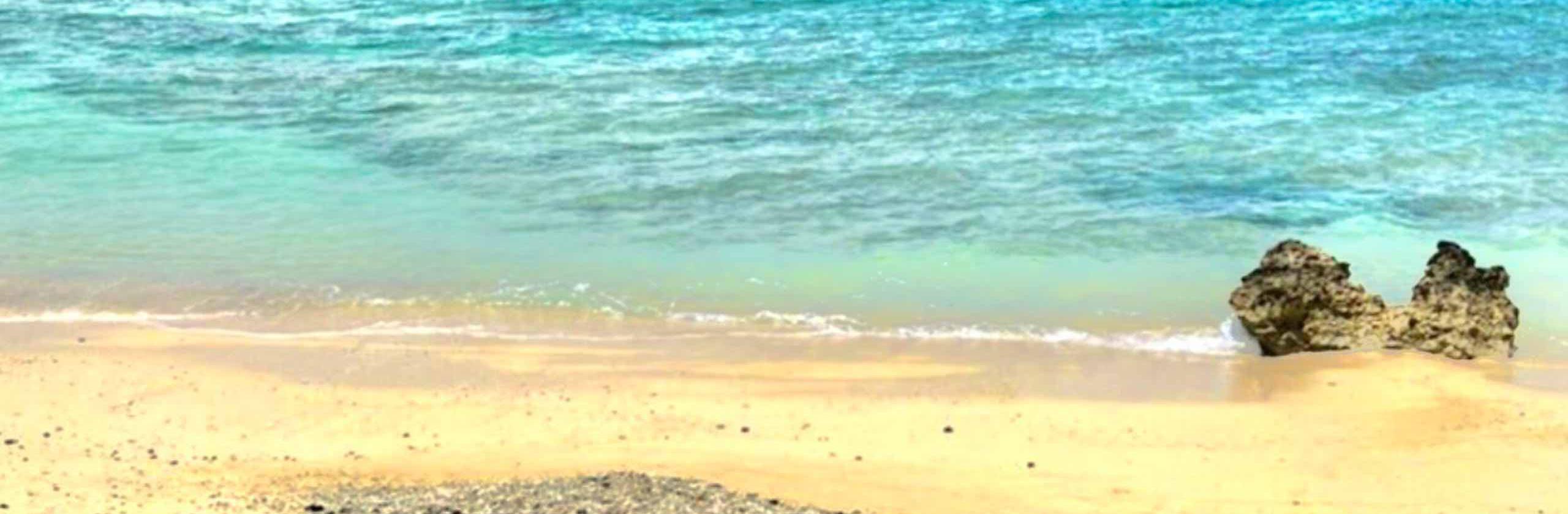 川和田 孝さんの出品サービス ココナラ