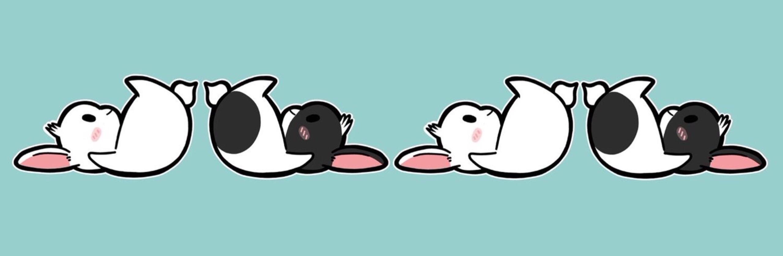 Line絵文字 みみたれ白黒うさぎ Natsugon 18さん イラストレーター のポートフォリオ ココナラ Line絵文字 みみたれ白黒うさぎ Natsugon 18さん イラストレーター のポートフォリオ ココナラ