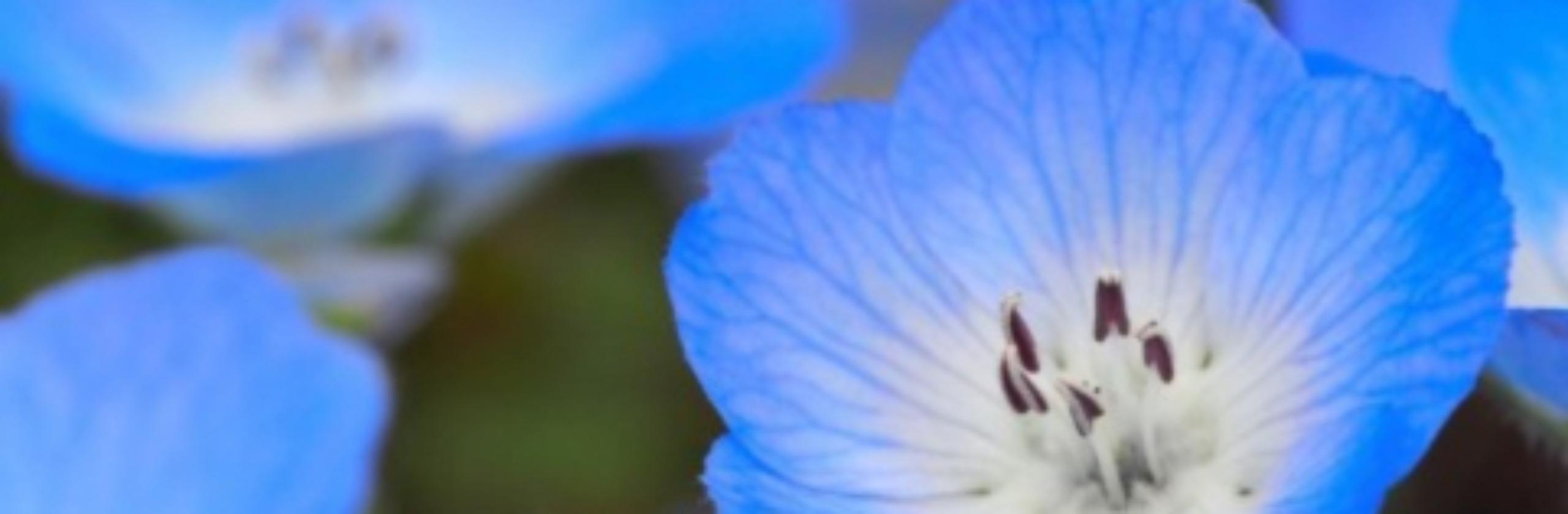 彡 美しい アルケミアタロット 使います 友音 渉 ゆおんあゆむ さん 鑑定士 のポートフォリオ ココナラ